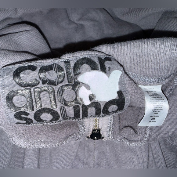 Free City Lux Gray Zip-Up Hoodie with Colorful Sleeve Stripes - Picture 7 of 8